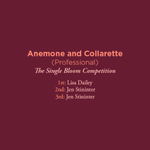 Anemone and Collarette Professional